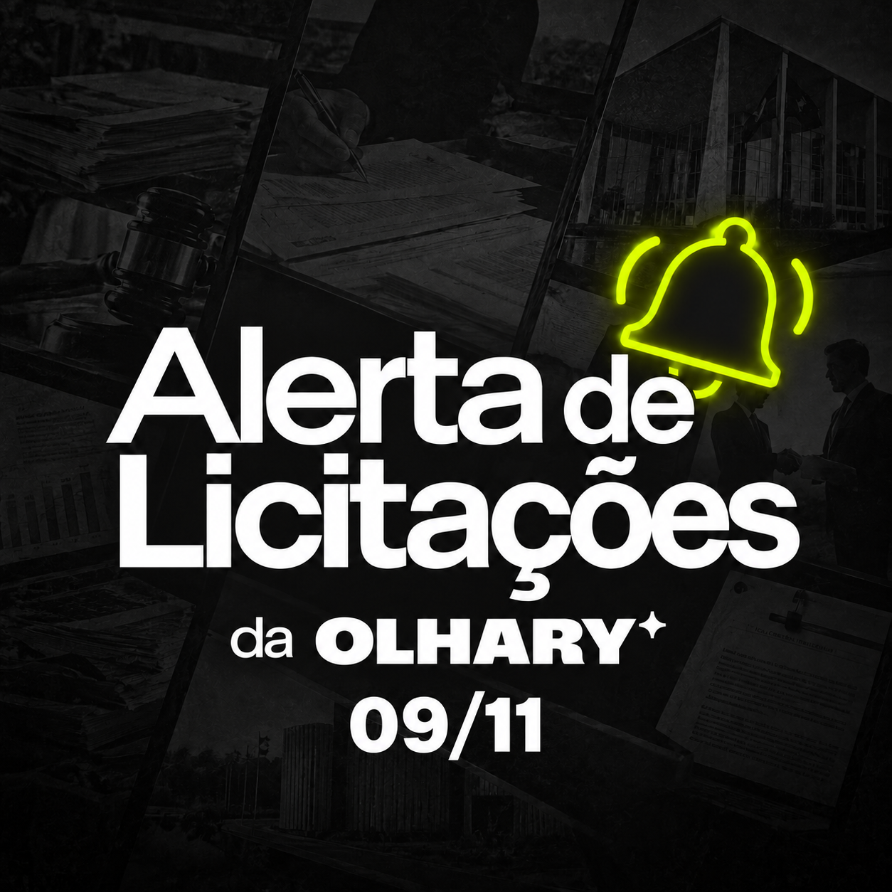 Alerta de Licitações da Olhary — 09/11